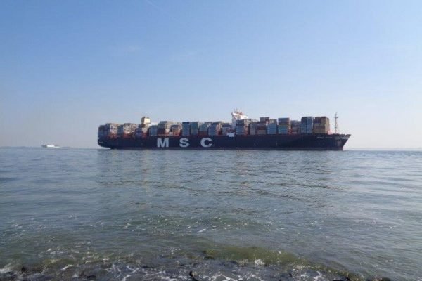Huib, vissen op geep, Westerschelde