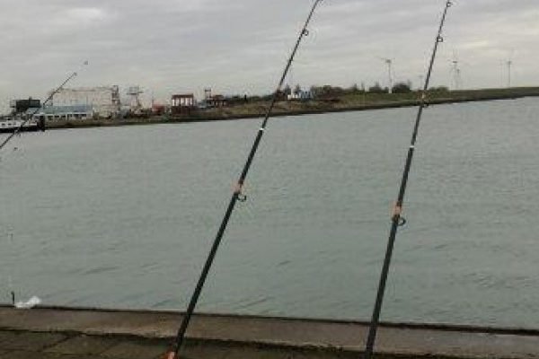 Nicky, vissen aan haven Vlissingen
