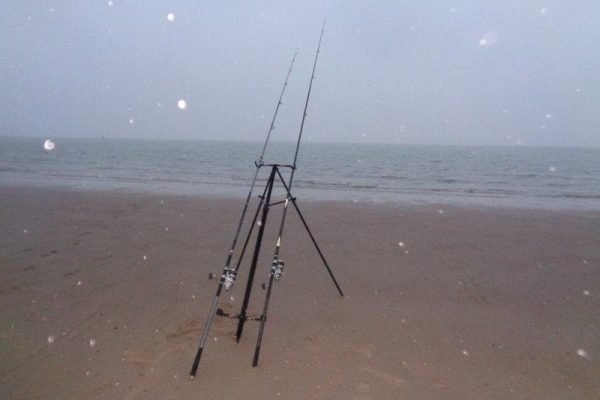 Huib, strandvissen Nollestrand