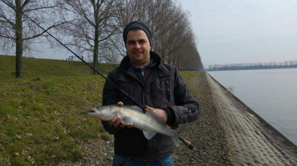 Jack Peelman, zoete rovers