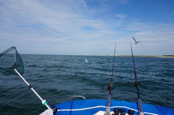 Lucky Luc, Oosterschelde en Voordelta