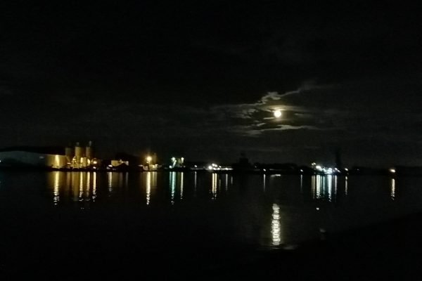 Gino, vissen aan kanaal Terneuzen