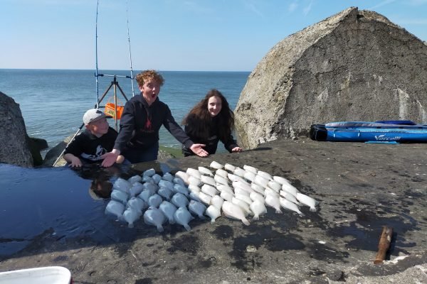 Stefan op de noordpier