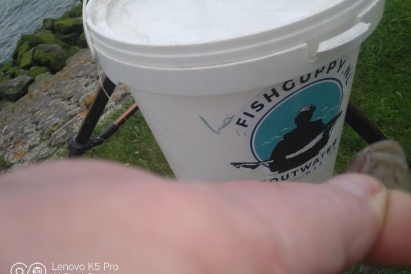 Ies, vissen op zwartbek grondels