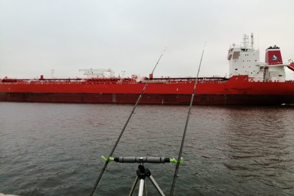 Vissen Westerschelde .