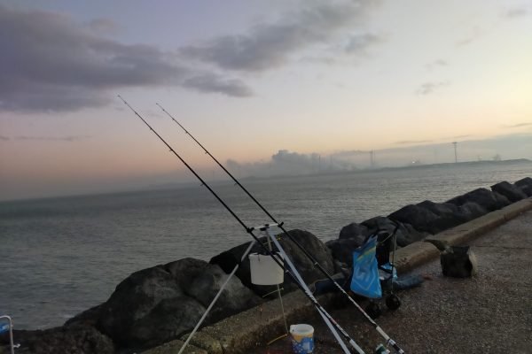 Stefan op gul noordpier ijmuiden