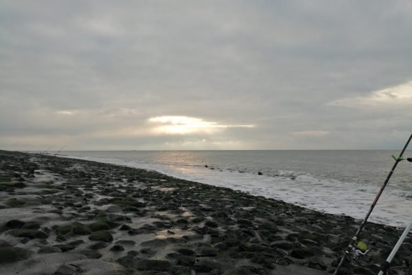 Vissen Westkapelle.