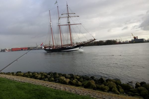 Ies, vissen in de buurt van de Oosterschelde