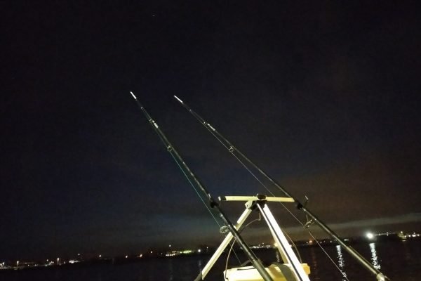 Stefan, westerschelde visserij