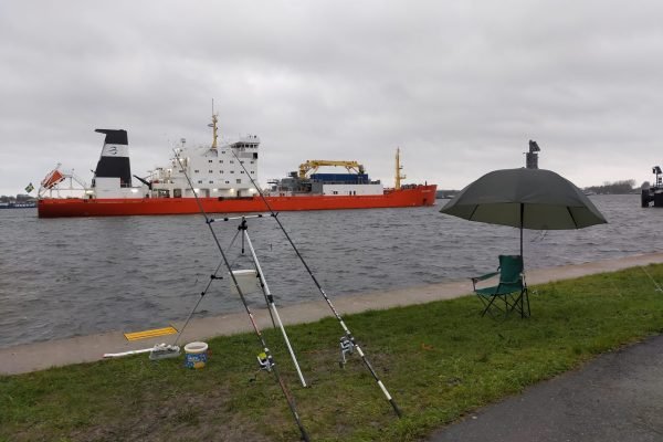 Westerschelde visserij