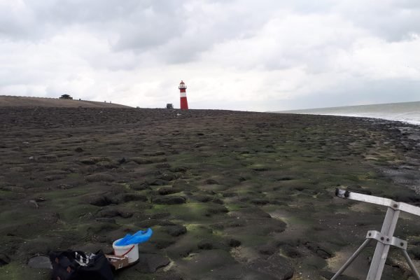Nico, vissen aan West kapelle, Baaiweg.
