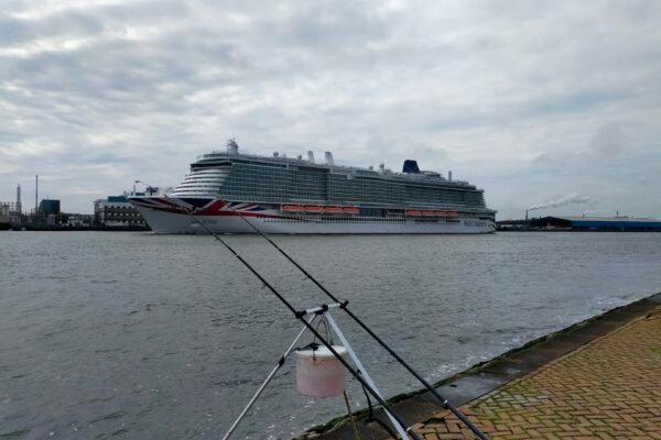 Tongen aan de nieuwe maas