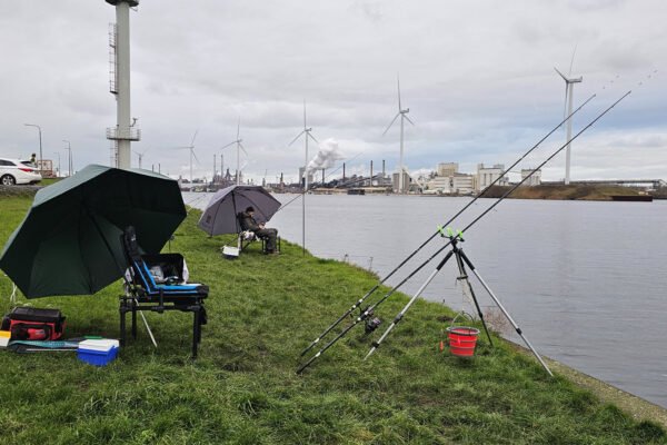Dagje Noordzeekanaal bij Velsen