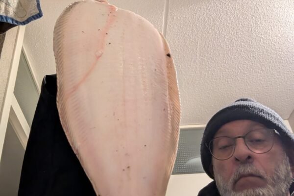 Vissen op tong aan de nieuwe maas