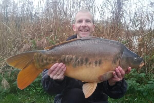 Spiegelkarper op de boilie