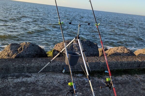 Zeevissen Wijk aan Zee d.d. 18-04- 2026