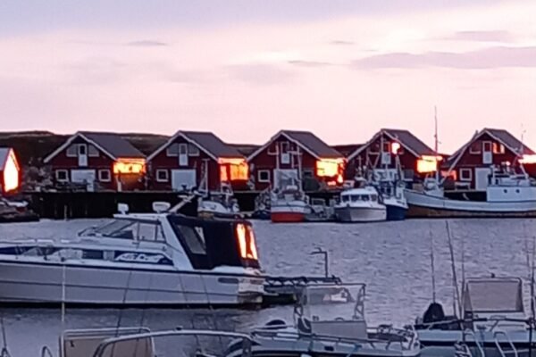 Vistrip naar Noorwegen op het eiland Froya